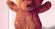 teddy